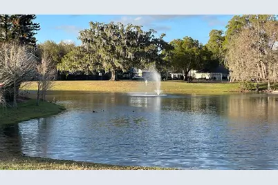 19655 Spring Oak Drive, Eustis, FL 32736 - Photo 43