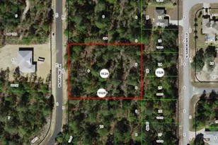 4035 W Abeline Dr, Citrus Springs, FL 34433 - Photo 1