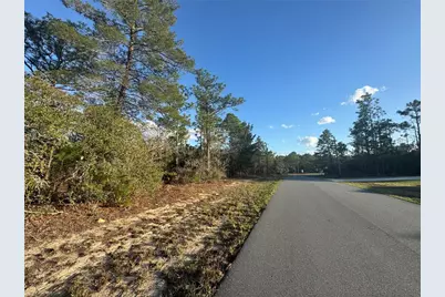 4035 W Abeline Drive, Citrus Springs, FL 34433 - Photo 3