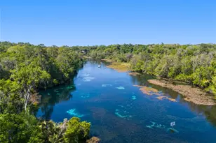 9781 SW 196th Cir, Dunnellon, FL 34432 - Photo 53