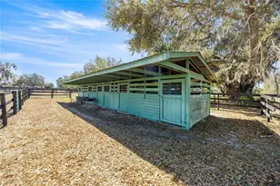 12006 N Magnolia Ave, Ocala, FL 34475 - Photo 29