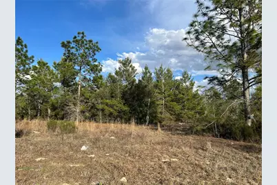 1091 NE 127th Court, Williston, FL 32696 - Photo 5