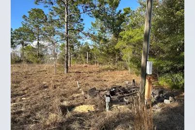 1091 NE 127th Court, Williston, FL 32696 - Photo 9