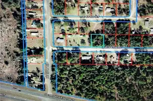 (Tbd) NE 54, Williston, FL 32696 - Photo 1