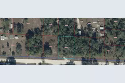 Ne 54 Place, Williston, FL 32696 - Photo 3