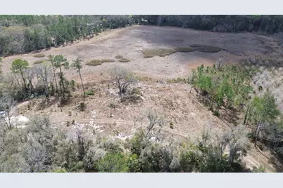 E Hwy 316, Citra, FL 32113 - Photo 9