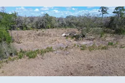 E Hwy 316, Citra, FL 32113 - Photo 5