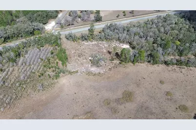 E Hwy 316, Citra, FL 32113 - Photo 3