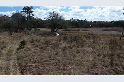 E Hwy 316, Citra, FL 32113 - Photo 7