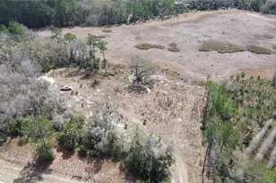 E Hwy 316, Citra, FL 32113 - Photo 1