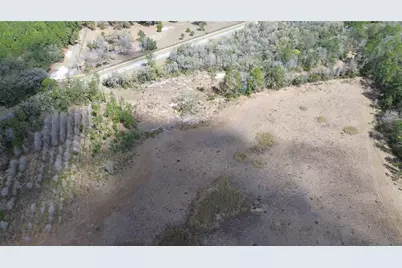 E Hwy 316, Citra, FL 32113 - Photo 13