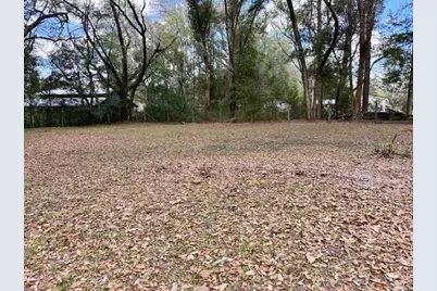 2350 SE 41 Highway, Morriston, FL 32668 - Photo 43