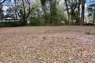 2350 SE 41 Hwy, Morriston, FL 32668 - Photo 43