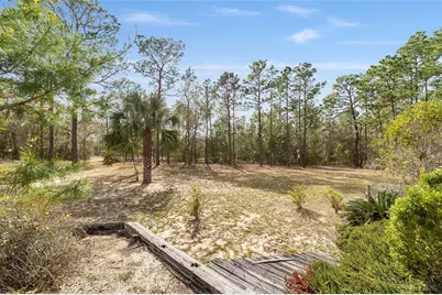 102 Whirlwind Way, Hawthorne, FL 32640 - Photo 65