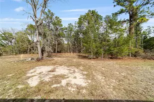 102 Whirlwind Way, Hawthorne, FL 32640 - Photo 67