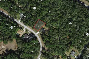 425 E Elgrove Dr, Citrus Springs, FL 34434 - Photo 1