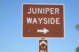 17350 SE 66th St, Ocklawaha, FL 32179 - Photo 65