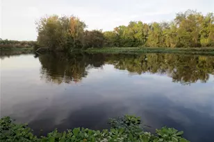 17350 SE 66th St, Ocklawaha, FL 32179 - Photo 59