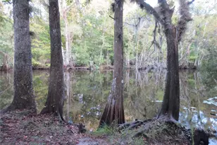 17350 SE 66th St, Ocklawaha, FL 32179 - Photo 51