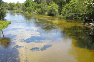 17350 SE 66th St, Ocklawaha, FL 32179 - Photo 63