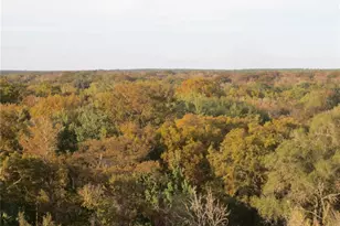 17350 SE 66th St, Ocklawaha, FL 32179 - Photo 41