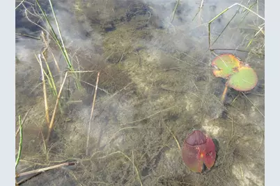 17350 SE 66th Street, Ocklawaha, FL 32179 - Photo 37