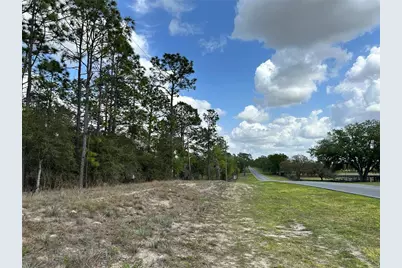 Tbd SE 30th Street, Morriston, FL 32668 - Photo 3