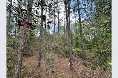 Tbd SE 30th Street, Morriston, FL 32668 - Photo 9