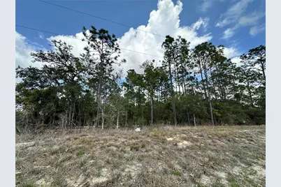 Tbd SE 30th Street, Morriston, FL 32668 - Photo 7