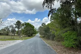 Tbd SE 30th St, Morriston, FL 32668 - Photo 1