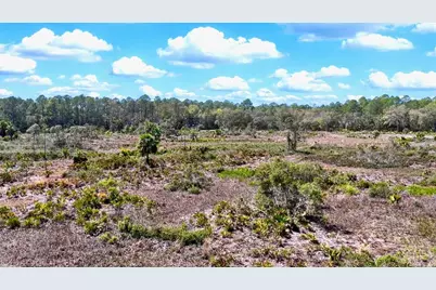 Shiloh Road, Cedar Key, FL 32625 - Photo 13
