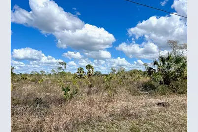 Shiloh Road, Cedar Key, FL 32625 - Photo 5