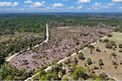 Shiloh Road, Cedar Key, FL 32625 - Photo 21