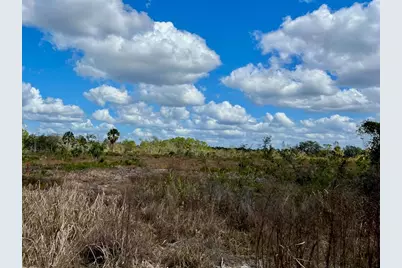 Shiloh Road, Cedar Key, FL 32625 - Photo 9