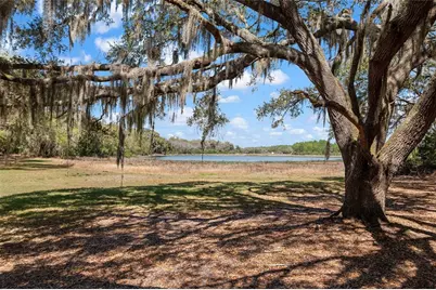 11990 SE 112th Avenue Road, Belleview, FL 34420 - Photo 3