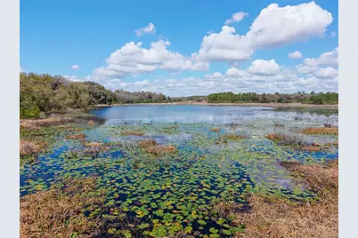 11990 SE 112th Avenue Road, Belleview, FL 34420 - Photo 75