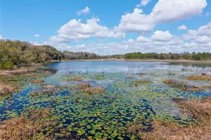 11990 SE 112th Avenue Rd, Belleview, FL 34420 - Photo 75