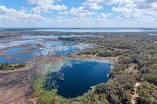 11990 SE 112th Avenue Rd, Belleview, FL 34420 - Photo 79