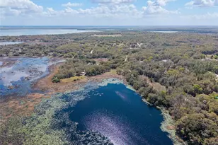 11990 SE 112th Avenue Rd, Belleview, FL 34420 - Photo 77