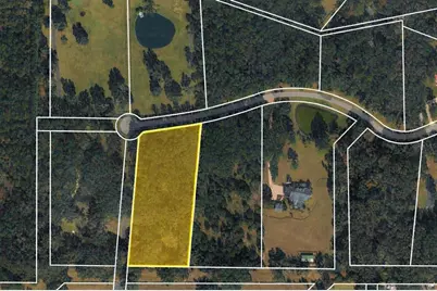 11 SW 144th Court, Ocala, FL 34481 - Photo 3