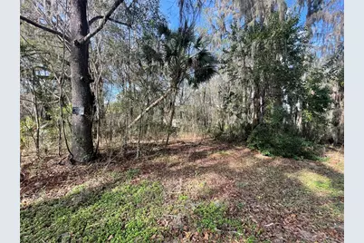 Tbd SE 40th Loop, Ocala, FL 34480 - Photo 1