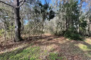 Tbd SE 40th Loop, Ocala, FL 34480 - Photo 1