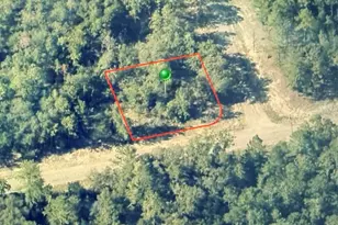 746 E Elston Pl, Citrus Springs, FL 34434 - Photo 1