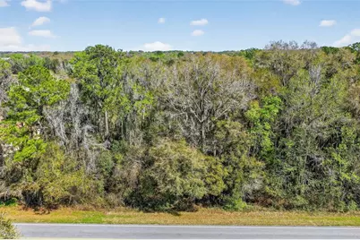 Tbd NW Hwy 225A, Reddick, FL 32686 - Photo 5