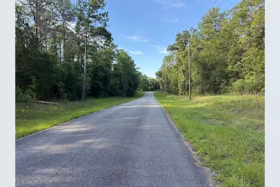 1273 E Toledo Drive, Dunnellon, FL 34434 - Photo 3