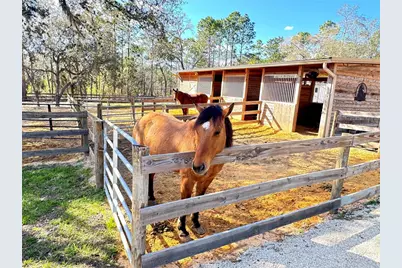 4911 N Valley Terrace, Beverly Hills, FL 34465 - Photo 33
