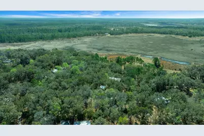 5590 E Highway 316, Citra, FL 32113 - Photo 29