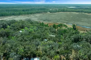 5590 E Hwy 316, Citra, FL 32113 - Photo 29