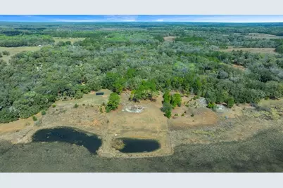 5590 E Highway 316, Citra, FL 32113 - Photo 31