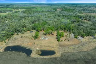 5590 E Hwy 316, Citra, FL 32113 - Photo 31